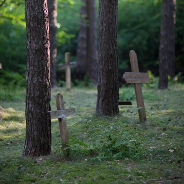 Friedhof im Schmachtenhagener Forst (Foto: F. Steinhausen) Friedhof im Schmachtenhagener Forst (Foto: F. Steinhausen)